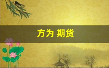 方为 期货(期货 方志)_https://www.fzdzcxj.com_深交所_第1张
